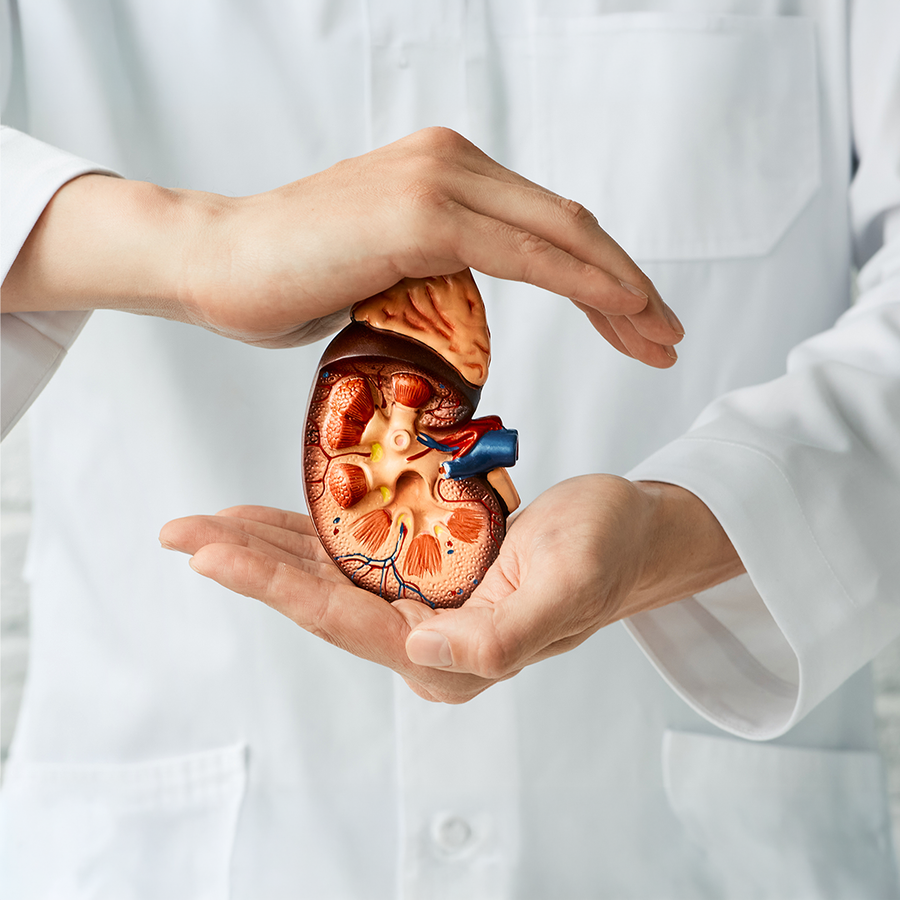Liver & Kidney Care